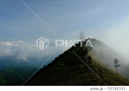 北大台の朝（奈良県吉野郡上北山村） 53781531