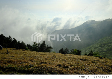 北大台の朝（奈良県吉野郡上北山村） 53781537