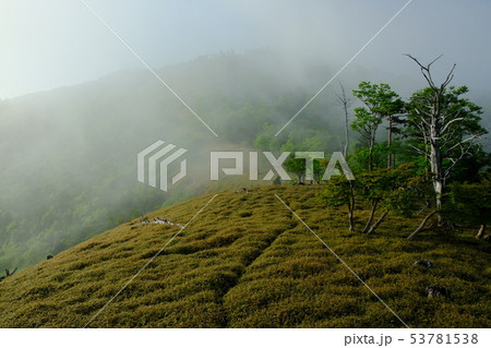 北大台の朝(奈良県吉野郡上北山村) 北大台の朝(奈良県吉野郡上北山村) 53781538