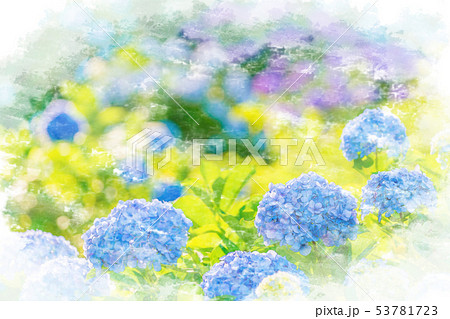水彩画風 あじさいの風景のイラスト素材