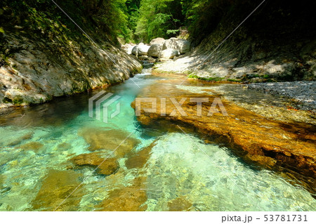 前鬼川の夏(奈良県吉野郡下北山村) 前鬼川の夏(奈良県吉野郡下北山村) 53781731