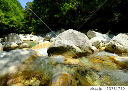 前鬼川の夏(奈良県吉野郡下北山村) 前鬼川の夏(奈良県吉野郡下北山村) 53781750