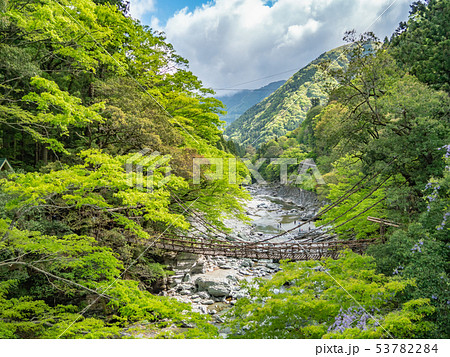 徳島県 三好市 祖谷のかずら橋 53782284