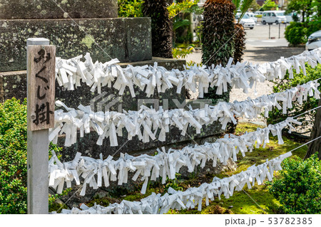 みくじ掛 津城跡高山神社 53782385