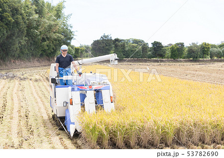 稲刈り 53782690