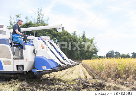 稲刈り 53782692