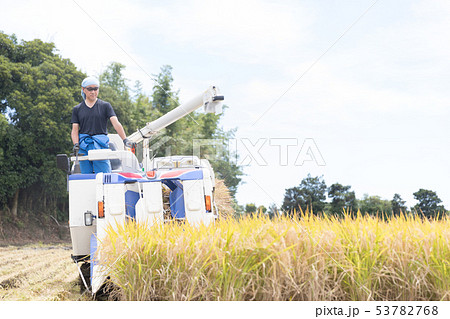 農作業 53782768