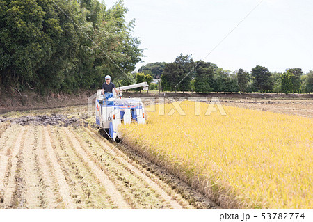 農作業 53782774