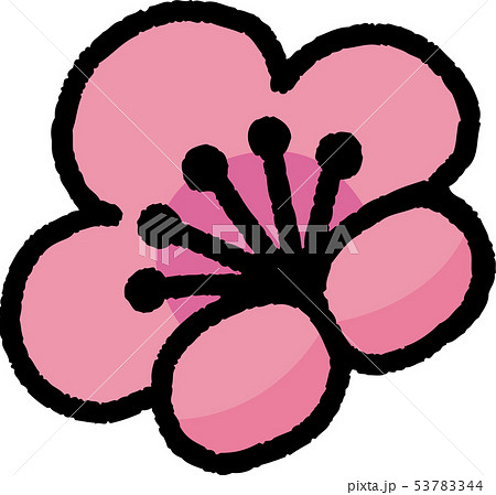梅の花 イラスト 梅の花 イラスト 53783344