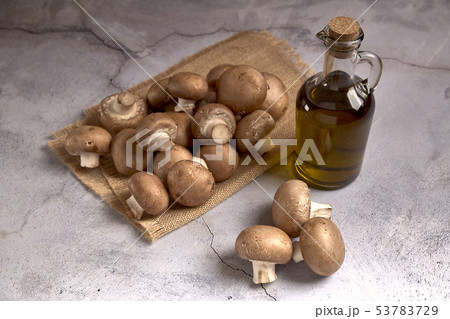 group of portobello mushrooms group of portobello mushrooms 53783729