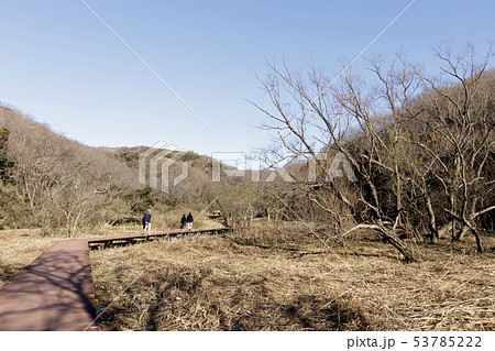 湿原（冬） 53785222
