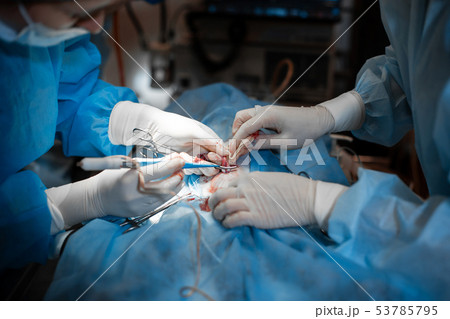 Closeup surgeon hands in bit bloody white gloves 53785795