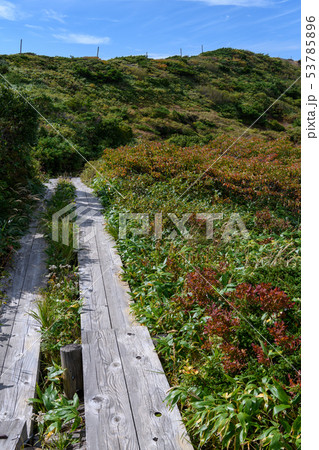 秋の地蔵山山頂付近の登山道 53785896