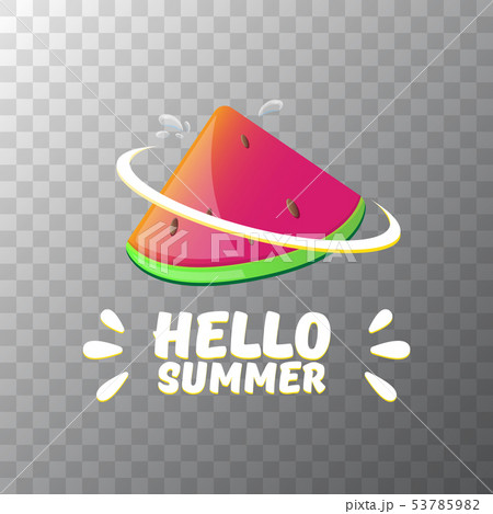 Vector Hello Summer Beach Party Flyer Design template with fresh watermelon slice isolated on Vector Hello Summer Beach Party Flyer Design template with fresh watermelon slice isolated on 53785982