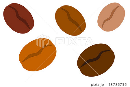 コーヒー豆 コーヒー豆 53786756
