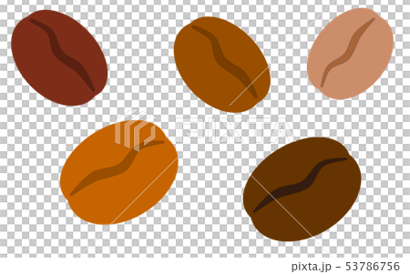 コーヒー豆 コーヒー豆 53786756