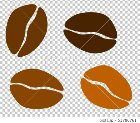 コーヒー豆 コーヒー豆 53786761