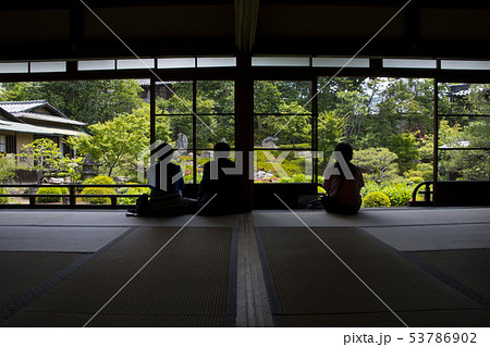 京都 建仁寺 塔頭 両足院 特別公開 6月 ツツジ 京都 建仁寺 塔頭 両足院 特別公開 6月 ツツジ 53786902