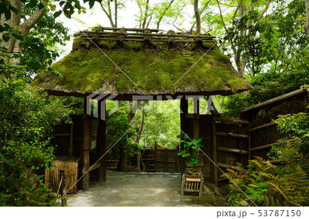 祇王寺 門 苔 祇王寺 門 苔 53787150