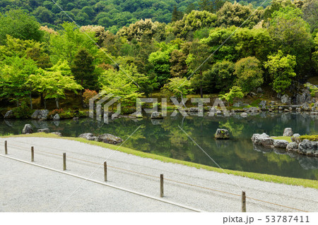 天龍寺 曹源池庭園 池 天龍寺 曹源池庭園 池 53787411