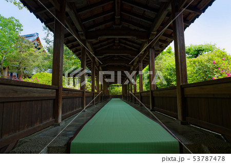 天龍寺 庭園 渡り廊下 天龍寺 庭園 渡り廊下 53787478
