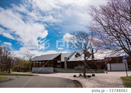 北海道 ウトナイ湖野生鳥獣保護センター 桜 北海道 ウトナイ湖野生鳥獣保護センター 桜 53788062