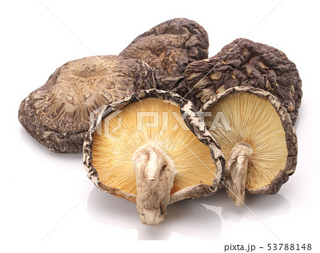 干し椎茸（大分県産） 53788148