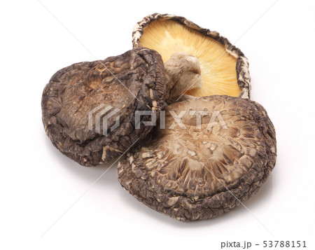 干し椎茸（大分県産） 53788151