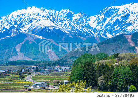 長野県 北アルプスを望む 白馬村の風景の写真素材