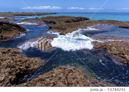 サンゴ礁の海 53789291