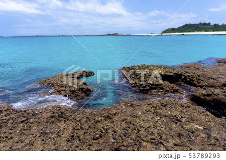 サンゴ礁の海 53789293