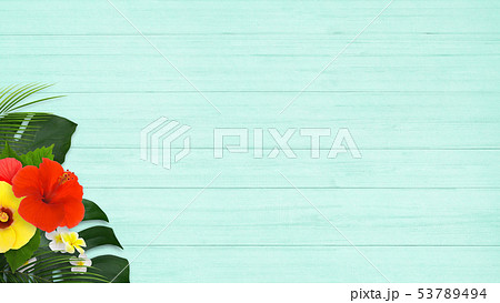 背景 海 夏 ビーチ ウッドデッキ モンステラ プルメリア ハイビスカス ブルーのイラスト素材 53789494 Pixta