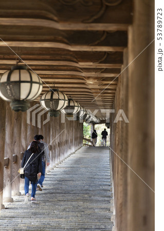 長谷寺の登廊 53789723