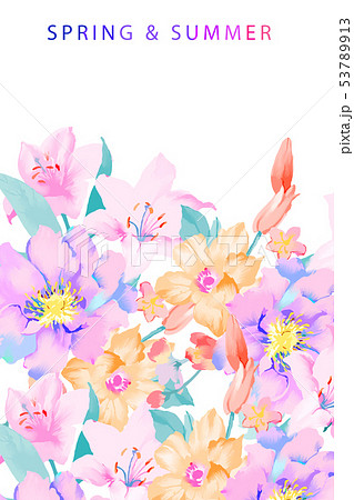 花 フラワー お花 53789913