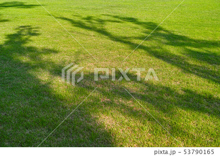 初夏イメージ おだやかな グランド 初夏イメージ おだやかな グランド 53790165
