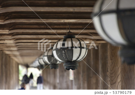 長谷寺登廊の灯篭 長谷寺登廊の灯篭 53790179