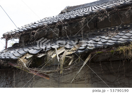 廃屋 53790190