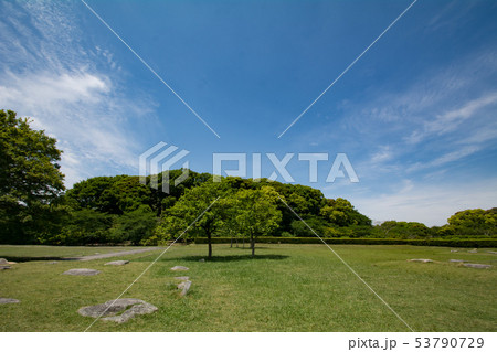 太宰府政庁跡 太宰府政庁跡 53790729