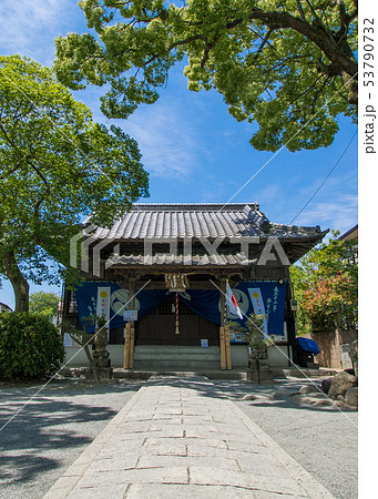 坂本八幡宮 53790732