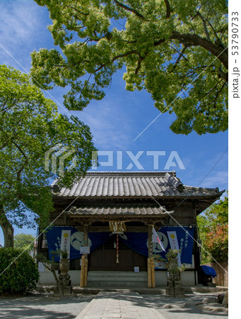 坂本八幡宮 53790733
