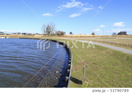 中川やしお水辺の楽校 埼玉県八潮市 中川やしお水辺の楽校 埼玉県八潮市 53790789