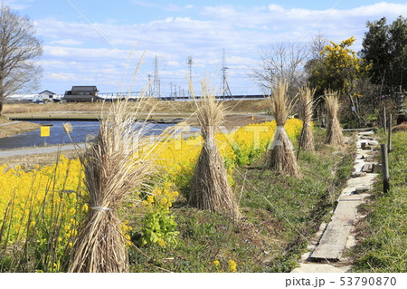 中川八潮(やしお)フラワーパーク 埼玉県八潮市 中川八潮(やしお)フラワーパーク 埼玉県八潮市 53790870