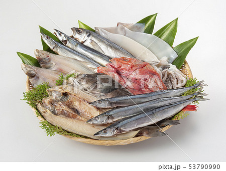 干物盛り合わせ 53790990