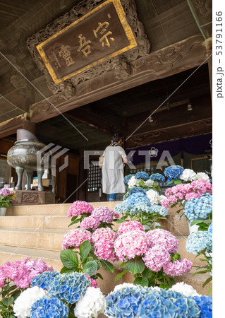 宗吾霊堂　6月の参拝風景 53791166