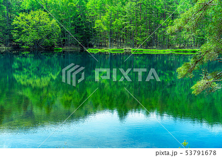 御射鹿池 初夏 【長野県】 御射鹿池 初夏 【長野県】 53791678