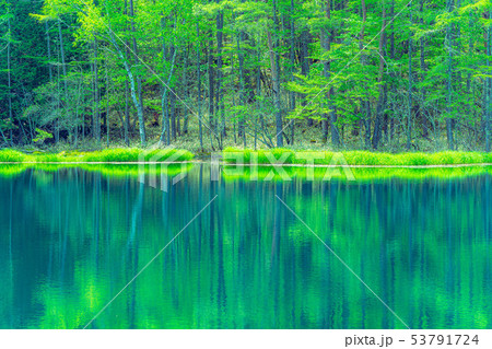 御射鹿池　初夏　【長野県】 53791724