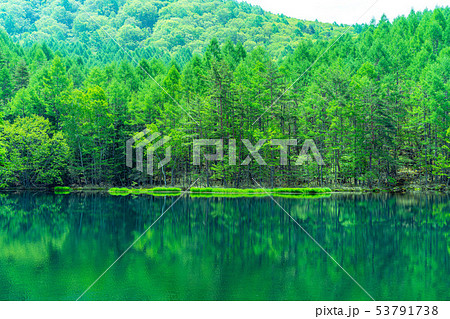 御射鹿池 初夏 【長野県】 御射鹿池 初夏 【長野県】 53791738