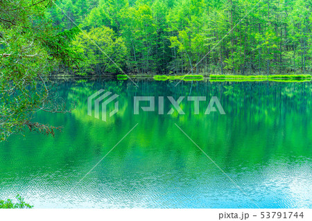 御射鹿池　初夏　【長野県】 53791744