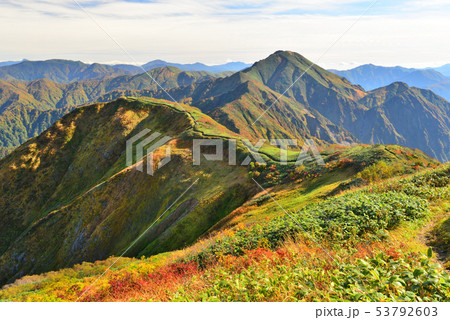 越後駒ヶ岳山頂から中ノ岳、平ヶ岳方面を望む 53792603