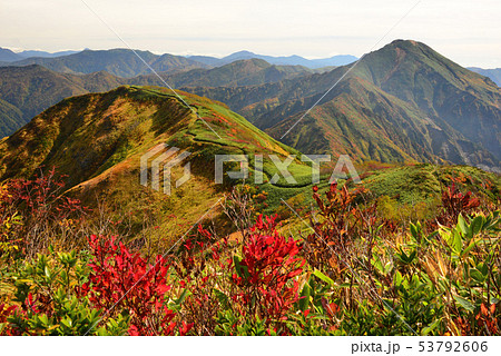 越後駒ヶ岳山頂から中ノ岳、平ヶ岳方面を望む 越後駒ヶ岳山頂から中ノ岳、平ヶ岳方面を望む 53792606